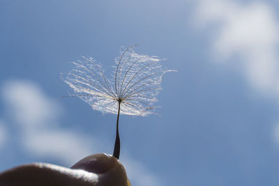 Close-up of hand against clear sky