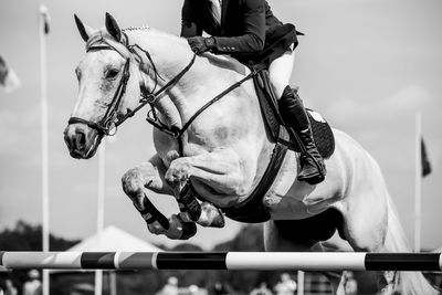 Horse jumping, equestrian sports, show jumping competition themed photograph.