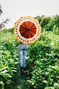 Rear view of woman standing on grass