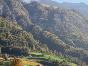 High angle view of trees and mountains