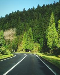 Road amidst trees against clear sky