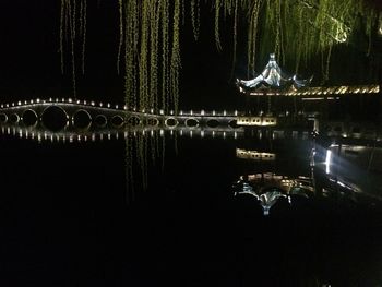 Firework display over lake against sky at night