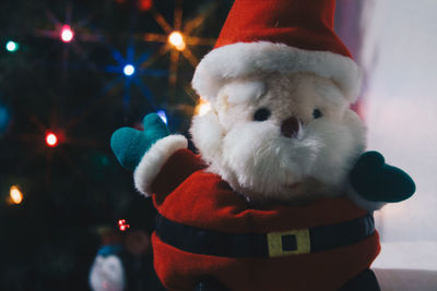 Close-up of dog with christmas lights