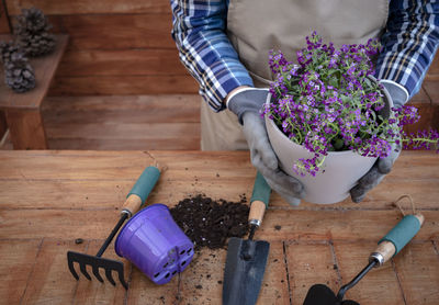 High angle view of potted plant on wooden table