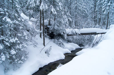 Scenic view of snow covered landscape