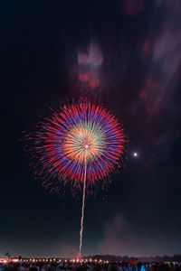 Low angle view of firework display at night