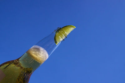 Low angle view of drink against blue sky