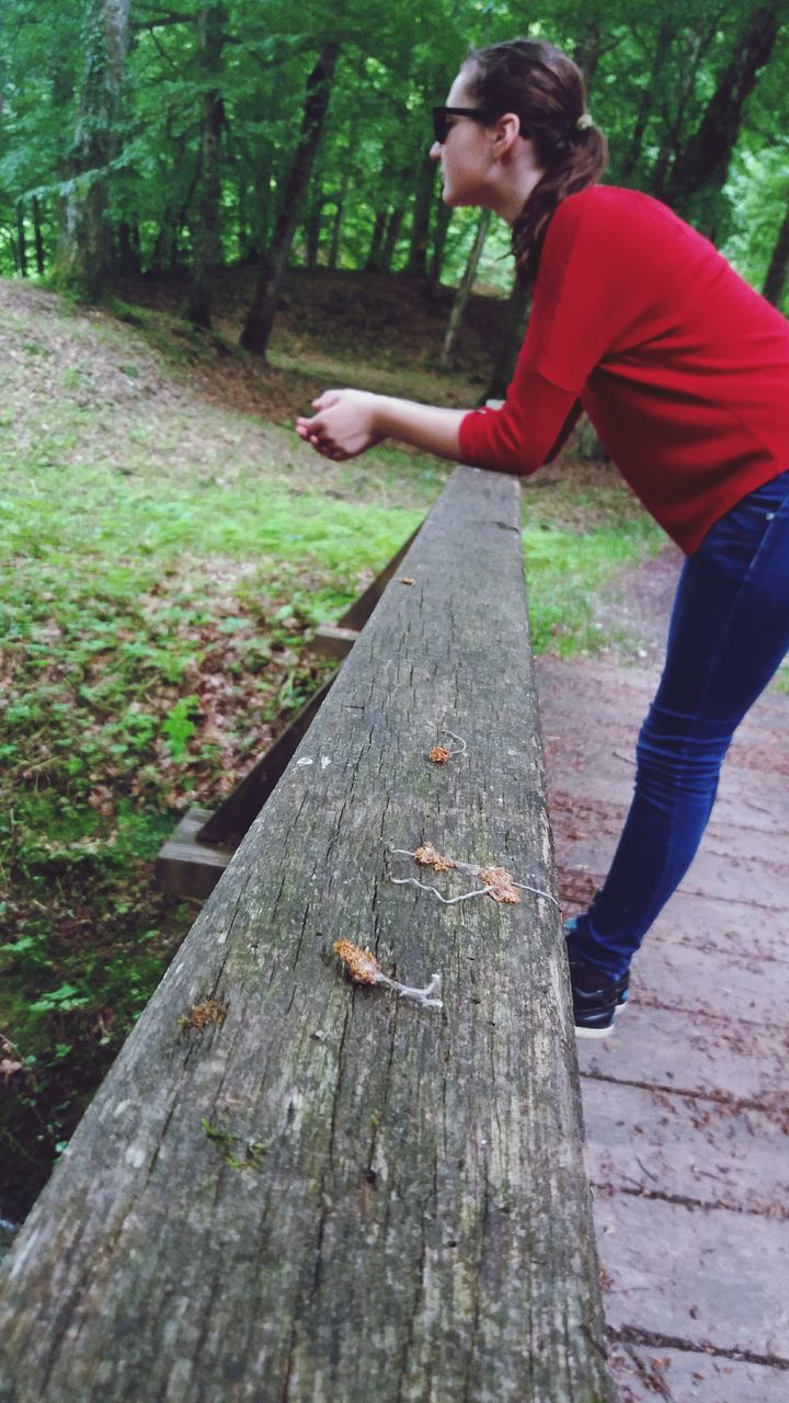 lifestyles, leisure activity, full length, casual clothing, childhood, person, wood - material, elementary age, tree, grass, park - man made space, girls, standing, wooden, boys, outdoors, day, holding