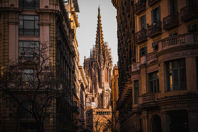 The magnificent barcelona cathedral
low angle view
