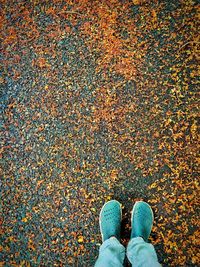 Low section of person standing on autumn leaves