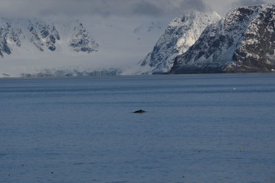 Scenic view of sea and snowcapped mountain