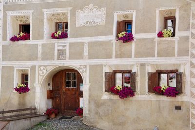 Potted plants against building