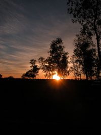 Silhouette trees against sky during sunset