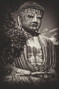 Close-up of buddha