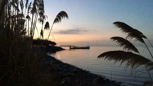 Scenic view of sea at sunset