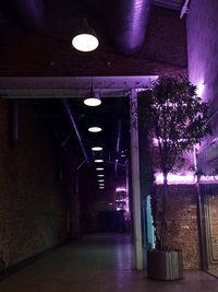 Illuminated corridor of building