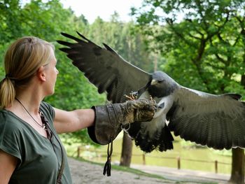 Side view of woman with birds in zoo