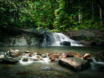 Scenic view of waterfall in forest