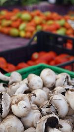 Close-up of mushrooms in market