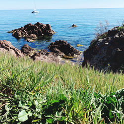 Scenic view of sea shore