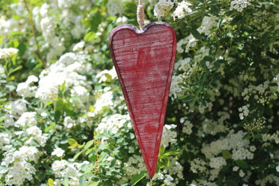 Close-up of red heart shape hanging on plant