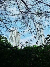 Low angle view of building against blue sky