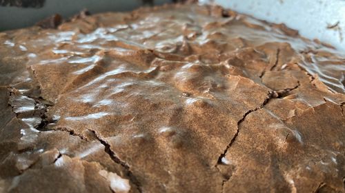 High angle view of cookies on table