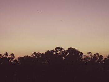 Silhouette trees against sky during sunset