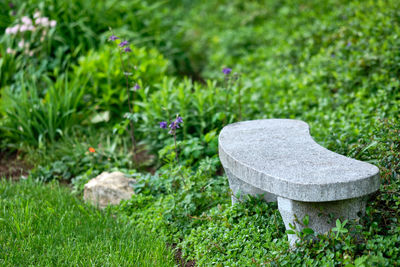 Close-up of stones on grass in garden