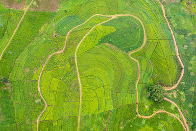 High angle view of road