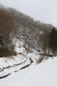 Trees on snow covered land against sky