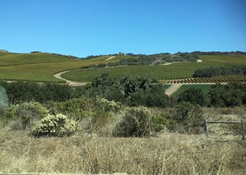 Scenic view of landscape against clear blue sky