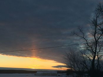 Bare trees against cloudy sky at sunset