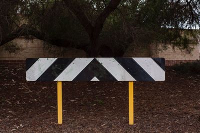 Arrow sign on road amidst trees