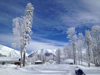 Snow covered trees against sky