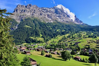 Jungfrau and valley view at grindelwald