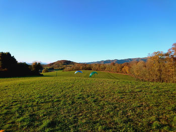 Scenic view of field against clear blue sky