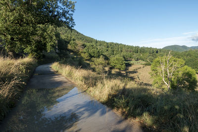 Scenic view of landscape against clear sky