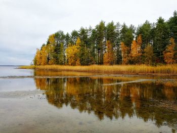 Scenic view of lake against sky during autumn