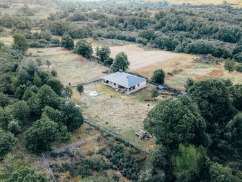 High angle view of trees on field