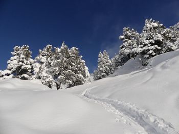 Snow covered trees against blue sky