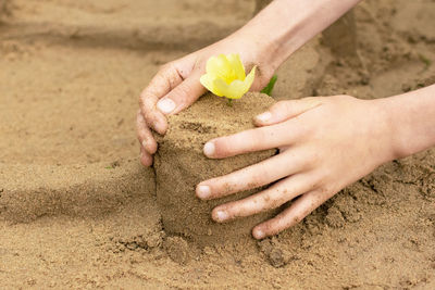 Close-up of woman holding hands on sand