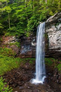 View of waterfall in forest