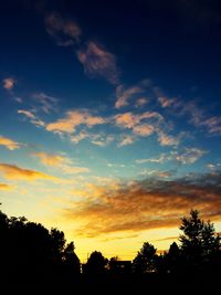 Silhouette of trees at sunset