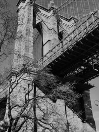 Low angle view of silhouette tree against sky