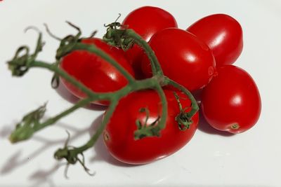 Close-up of tomatoes over white background