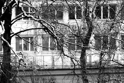 Bare trees by lake against buildings during winter