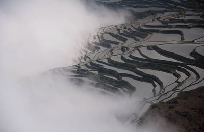 High angle view of agricultural fields amidst fog