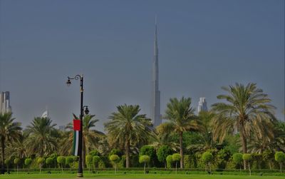 Palm trees on field against sky