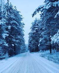 Snowy road amidst trees against sky during winter